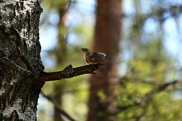 Similar image 22490064