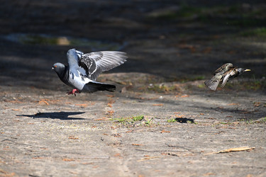 Similar image 22490065