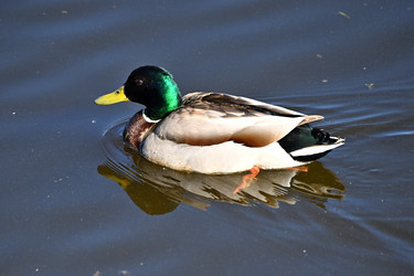 Similar image 22490088