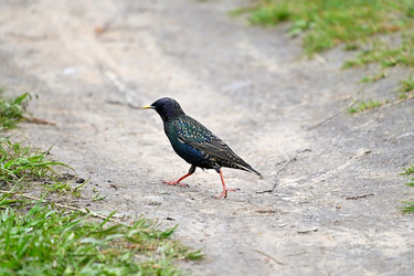 Similar image 22490089