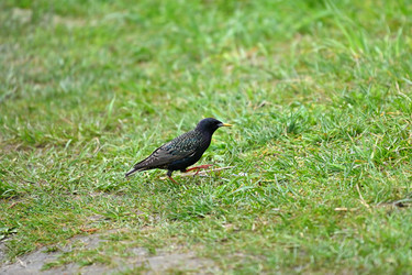 Similar image 22490049