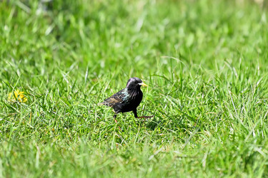 Similar image 22490052