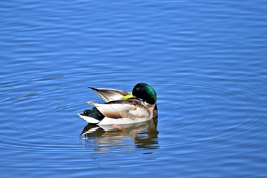 Similar image 22490053