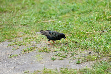 Similar image 22490055