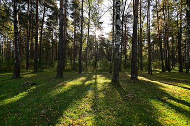 Similar image 22490056