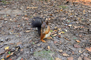 Similar image 22490058