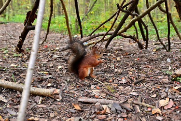 Similar image 22490059