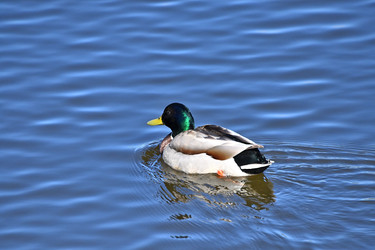 Similar image 22490060