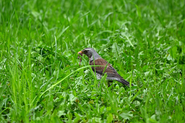 Similar image 22490067