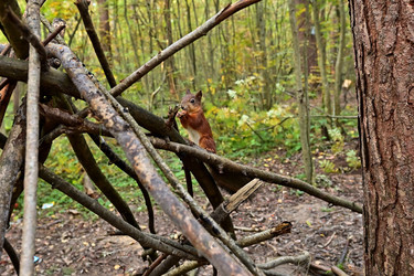 Similar image 22490068