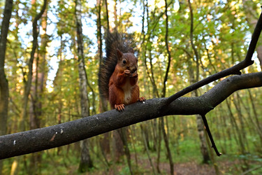 Similar image 22490069