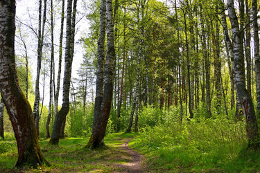 Similar image 22490071