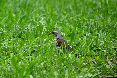 Similar image 22490073