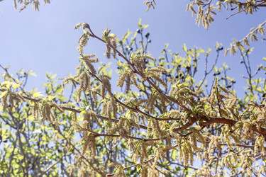 Similar image 22580156