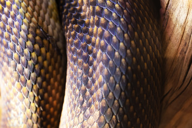 Similar image 22501999