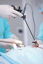 Similar image 22501834