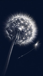 Similar image 22524806