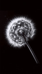 Similar image 22526323