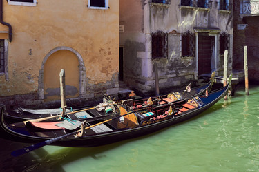 Similar image 22488237