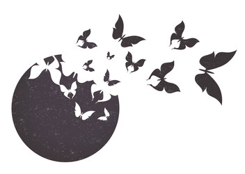 Similar image 22489238