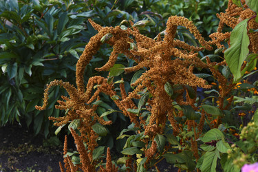 Similar image 22489957