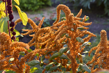 Similar image 22489958