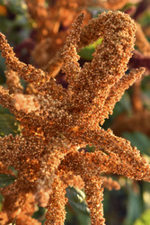 Similar image 22489959