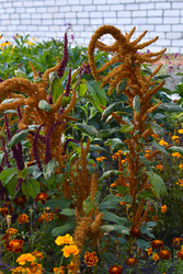 Similar image 22489960