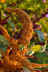 Similar image 22489961