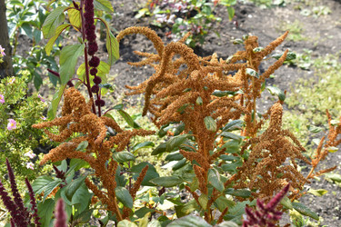 Similar image 22489963