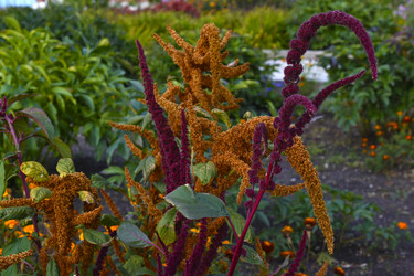 Similar image 22489964