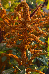 Similar image 22489975