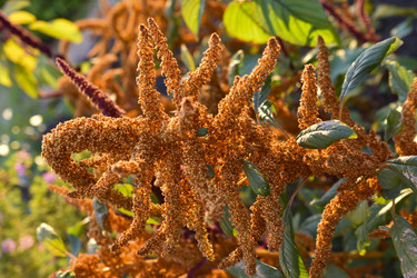 Similar image 22489976