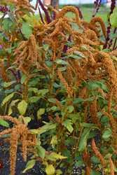 Similar image 22489977