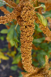 Similar image 22489978