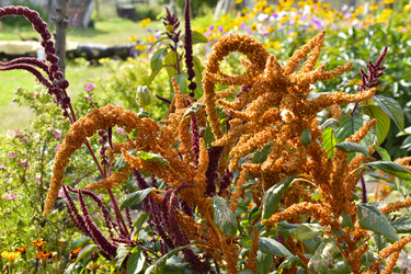 Similar image 22489979