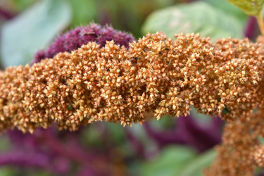 Similar image 22489980