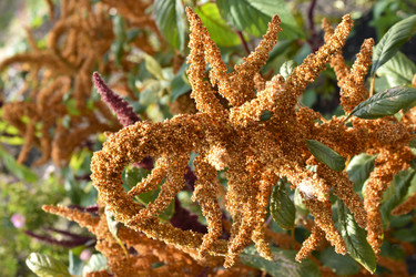 Similar image 22489981