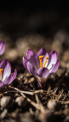 Similar image 22493935