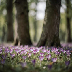 Similar image 22493936