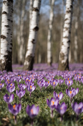 Similar image 22493937