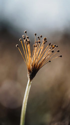 Similar image 22493951