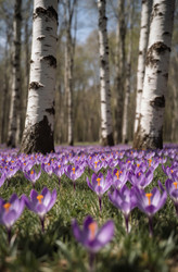 Similar image 22493952