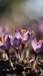 Similar image 22493963