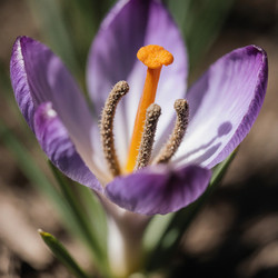 Similar image 22493978