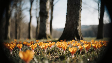 Similar image 22493980