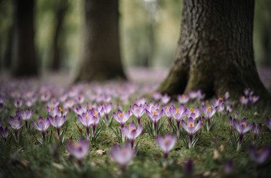 Similar image 22493993