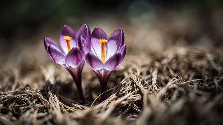 Similar image 22493994