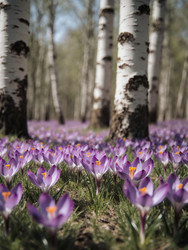 Similar image 22494005