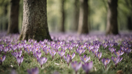 Similar image 22494006